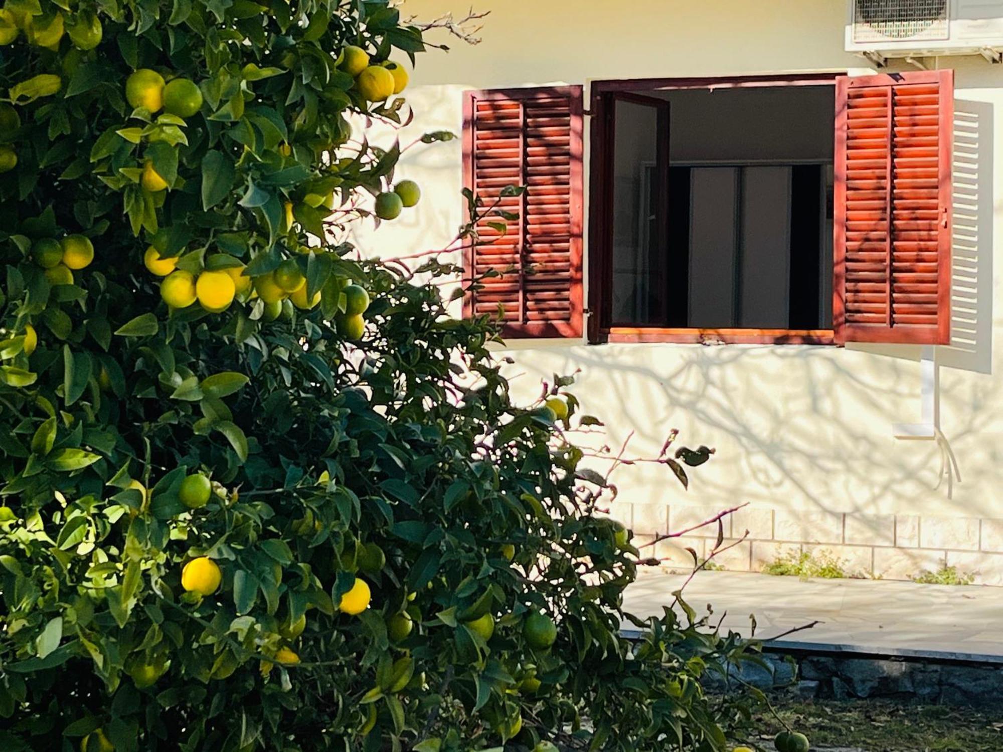 Beachfront Apartment Drazen, With Garden And Parking Split Exterior foto